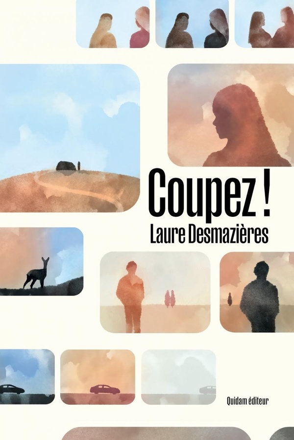 Couverture du roman "Coupez !"